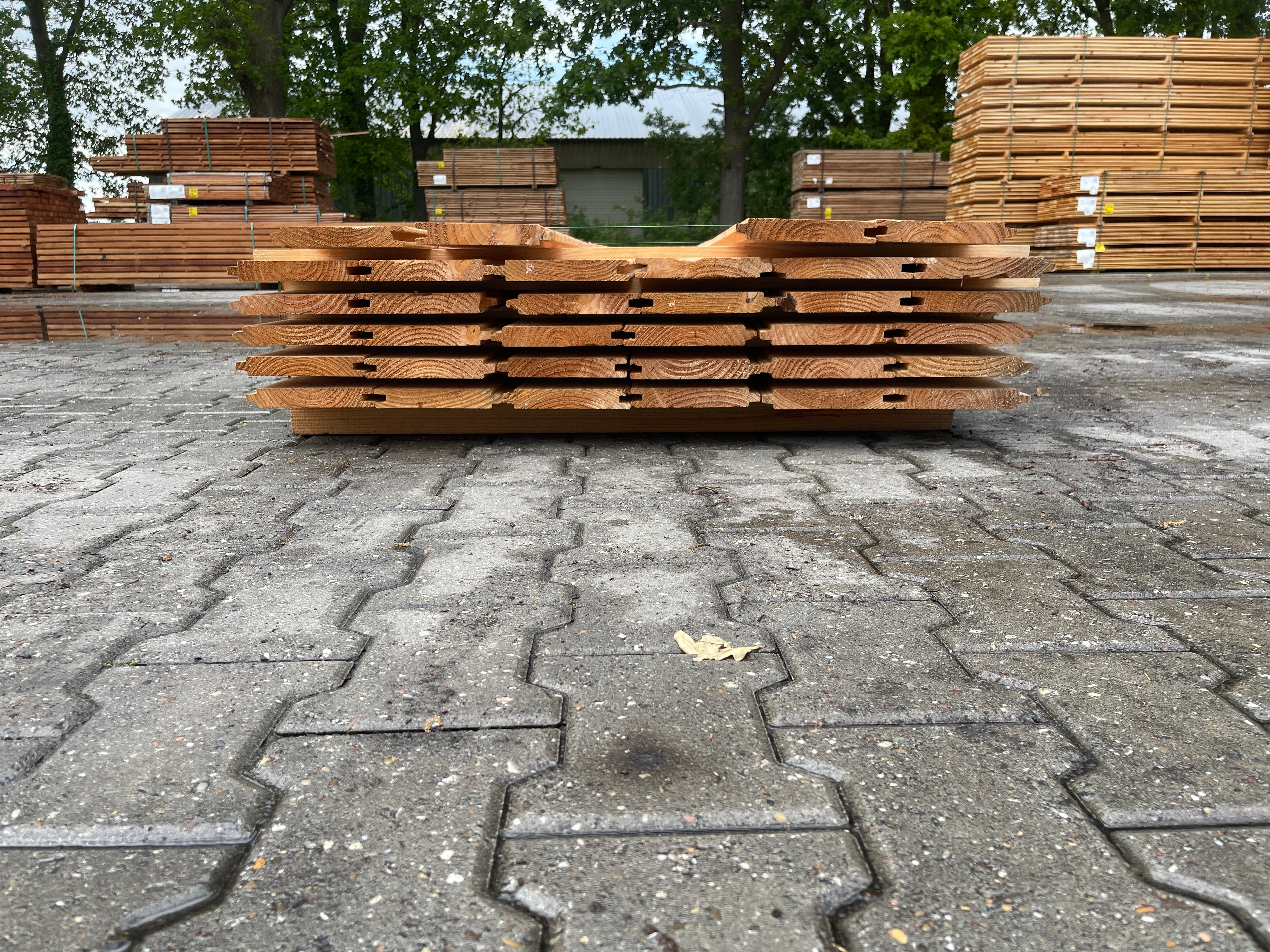 Douglas Blokhutprofiel 28x175mm - Lengte 500cm, 34 stuks