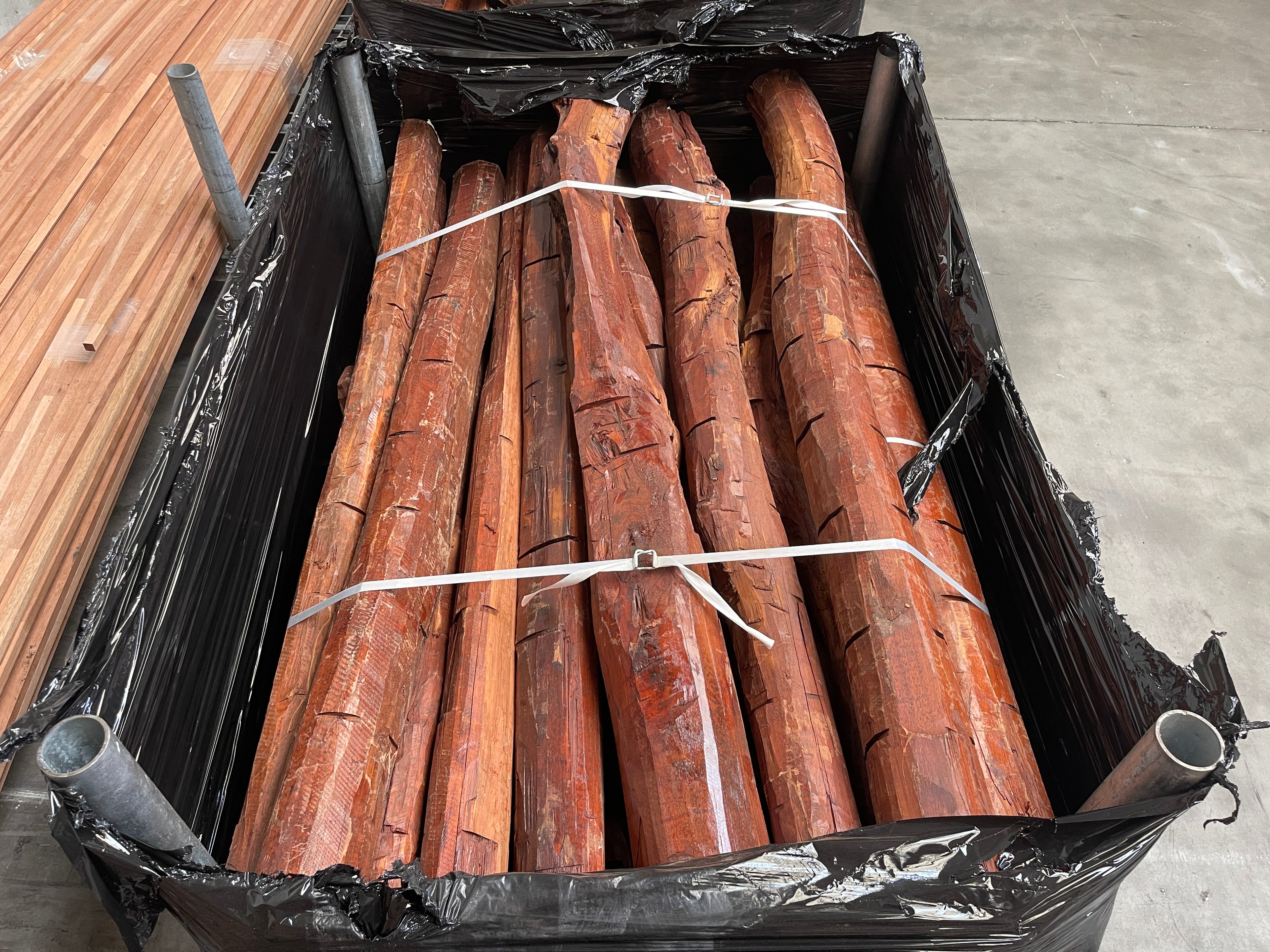 Letterhout (Snakewood) Stammen en Halve Stammen