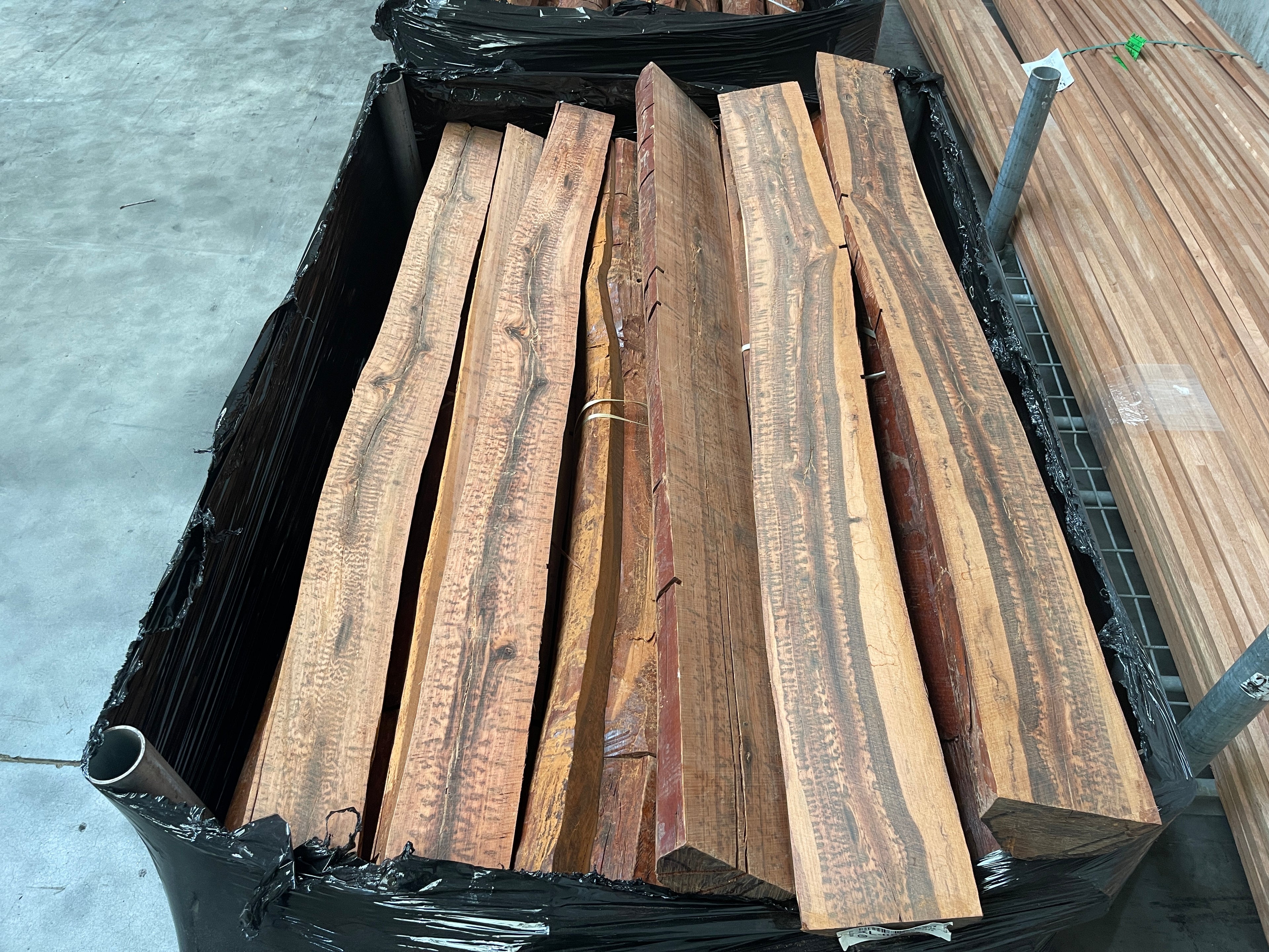 Letterhout (Snakewood) Stammen en Halve Stammen