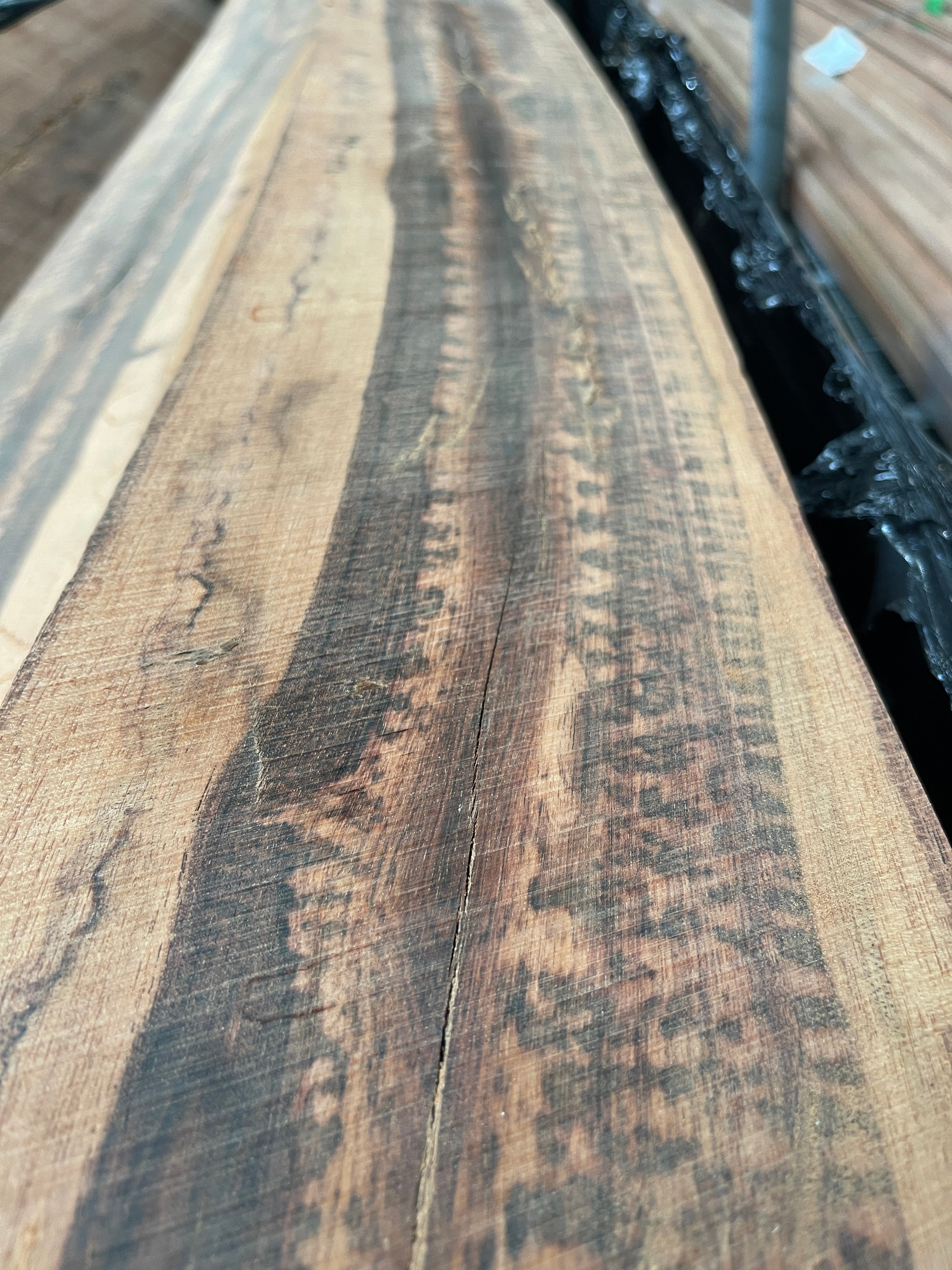 Letterhout (Snakewood) Stammen en Halve Stammen